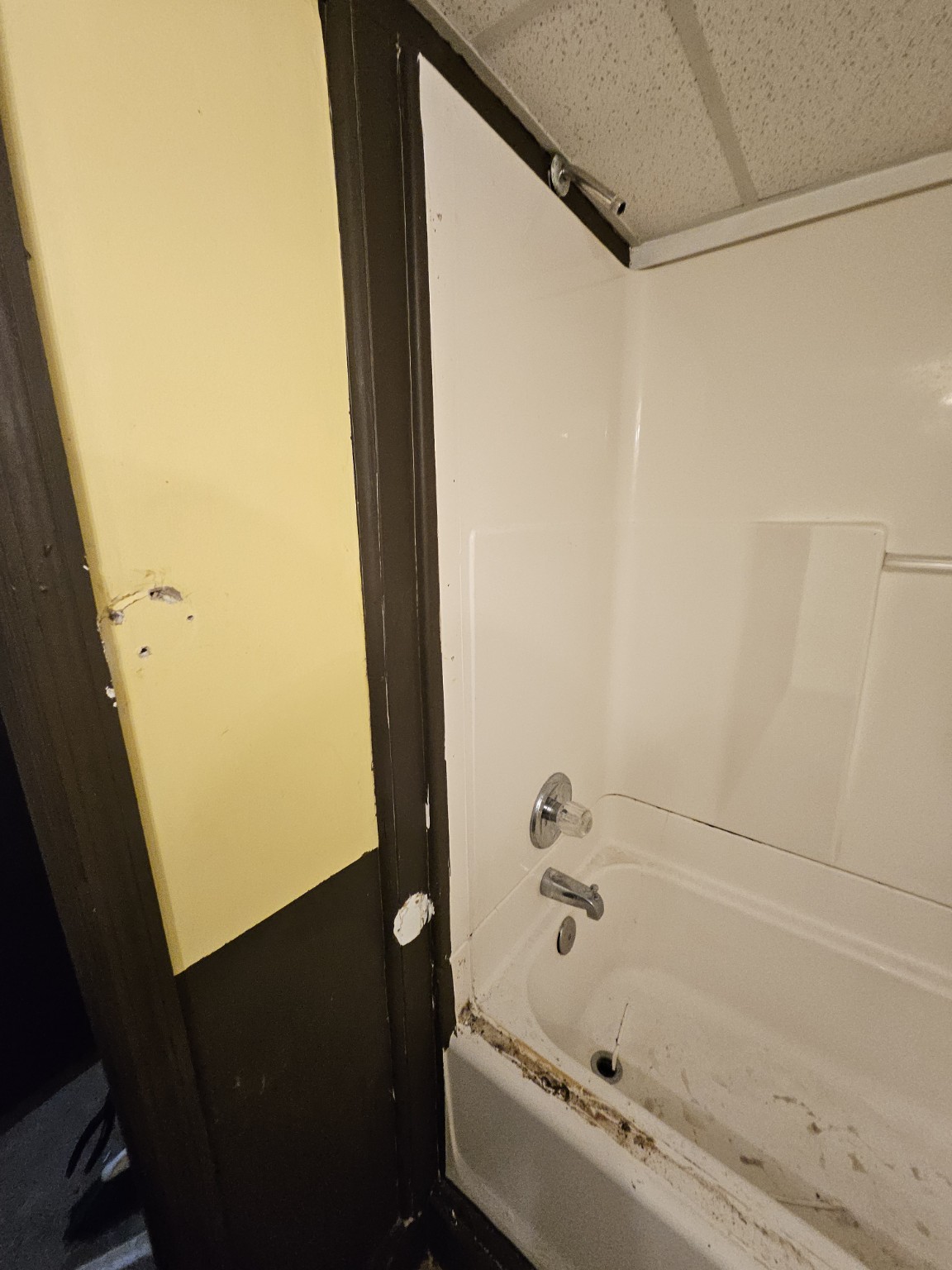 Another view of the original bathtub before renovation